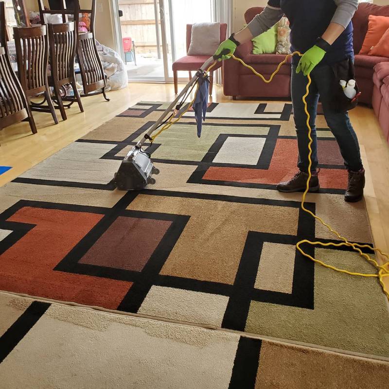 Area Rug Cleaning Paso Robles CA Skyy Blue Carpet Cleaning
