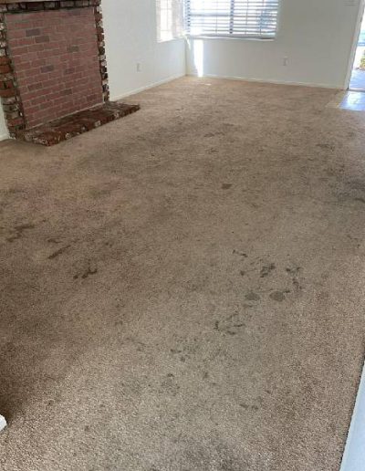 carpet cleaning_before_8
