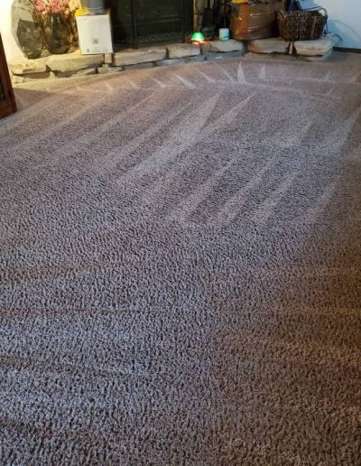 pet odor removal_after _5
