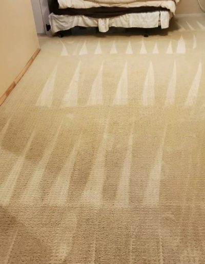 pet odor removal_after _6