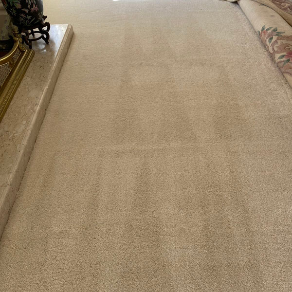 Pet Stains & Odor Control Services Paso Robles CA Skyy Blue Carpet
