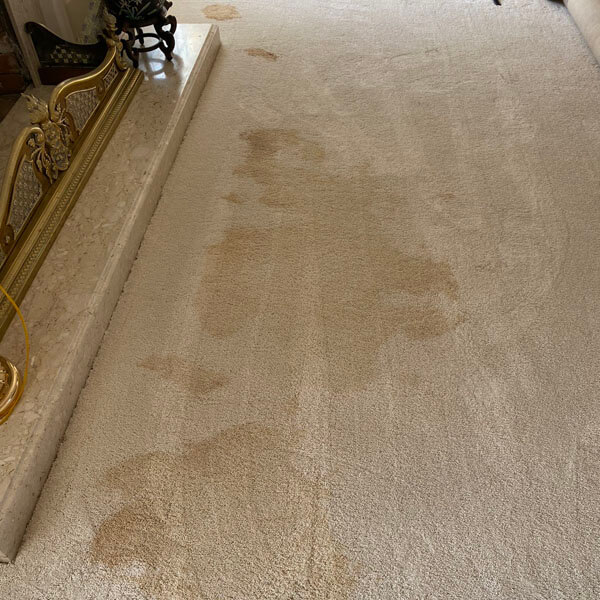 Pet Stains & Odor Control Services Paso Robles CA | Skyy Blue Carpet ...