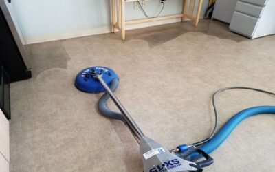 How Often should you Vacuum your Carpet?