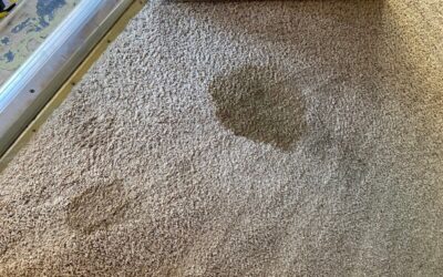 How to Get Melted Wax Out of The Carpet?