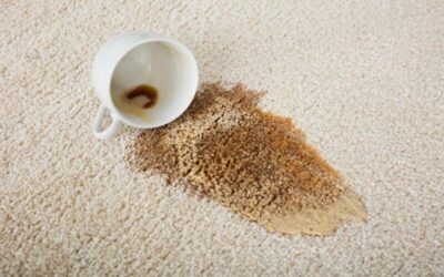 How to Remove Coffee Stains from Carpet?