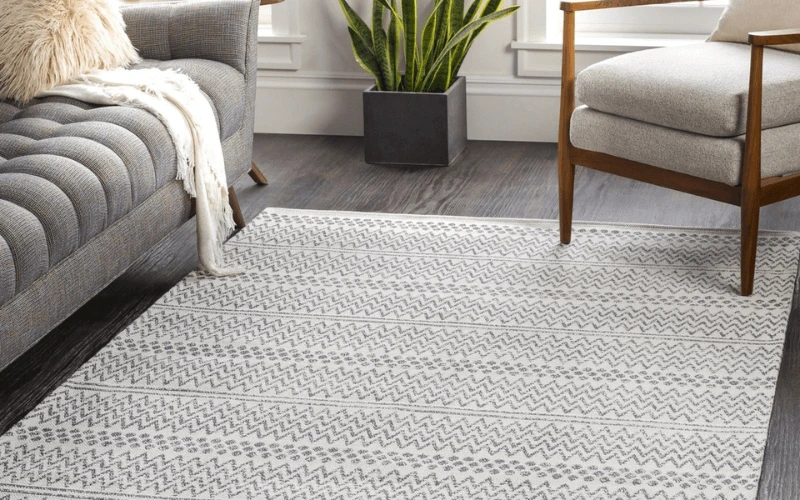 Tips to Maintain Area Rugs From Skyy Blue Carpet Cleaning Experts