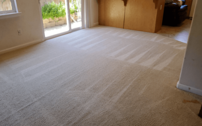 Common Carpet Stains in Paso Robles and How to Tackle Them