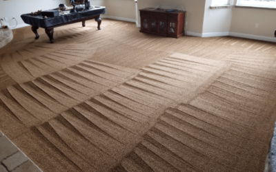 Pro Tips from Skyy Blue Experts to Keep Your Carpet Looking Fresh Forever