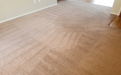 Reasons To Hire Professional Carpet Cleaners Before Christmas!