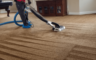 Reasons Why Vacuuming A Carpet Isn’t Enough