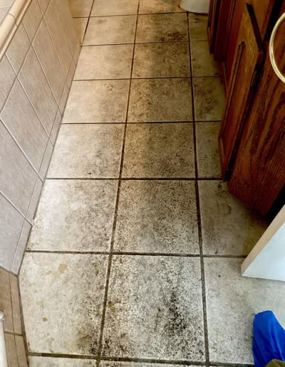 tile-and-grout-cleaning-before