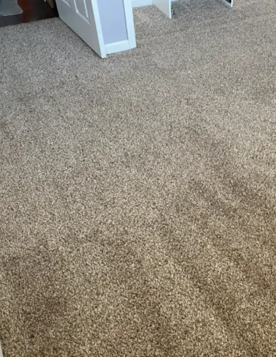 Carpet Cleaning After