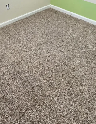 Carpet Cleaning After