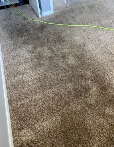 Carpet Cleaning Before