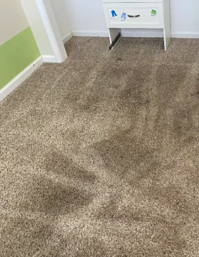 Carpet Cleaning Before