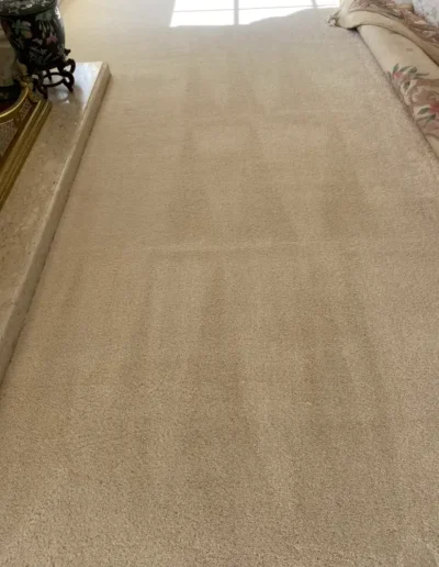 Pet Stain and odor Control after