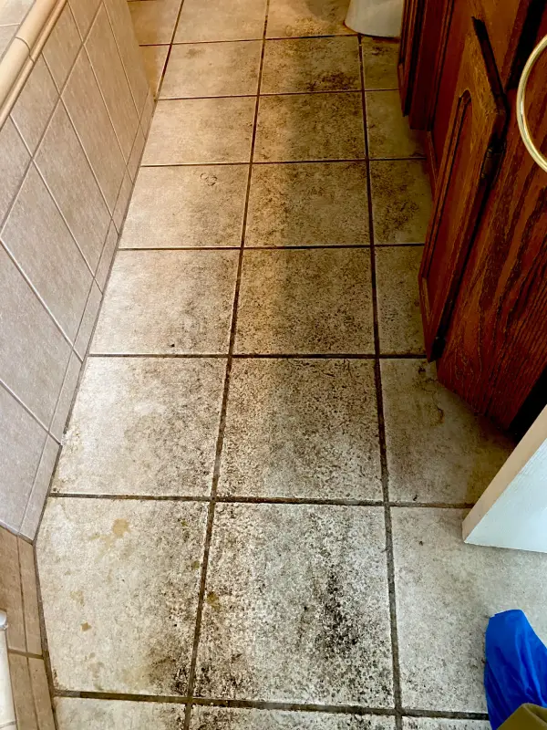 Tile & Grout Cleaning Before