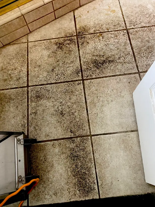 Tile & Grout Cleaning Before 