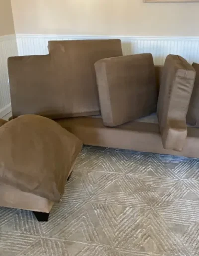 upholstery cleaning Services 1