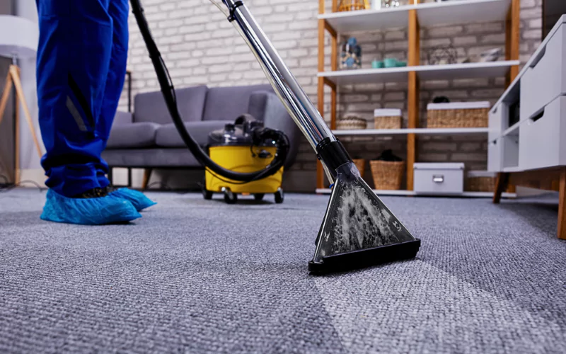 Professional Carpet Cleaning for Long-Term Carpet Care