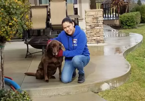 pet-stain-odor-removal-services